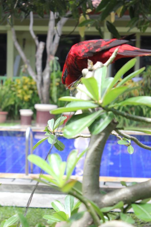Hotel Puri Nusantara Kuta Lombok Exteriör bild